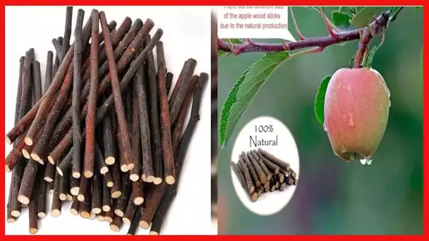 500g Organic Apple Sticks Wood Tree Branches Pet Snacks Chew Toys Branch for Guinea Pigs Chinchilla