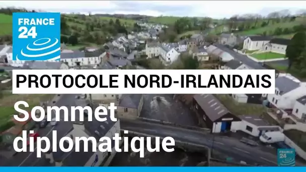 Sommet entre Londres et Bruxelles : journée cruciale pour le protocole nord-irlandais • FRANCE 24