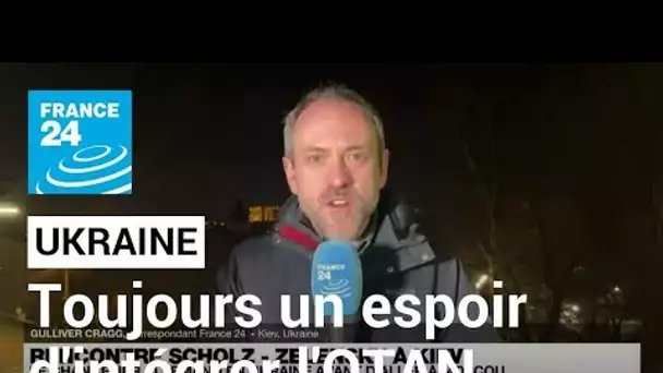 L'Ukraine espère toujours pouvoir intégrer l'Otan, dit Zelensky • FRANCE 24