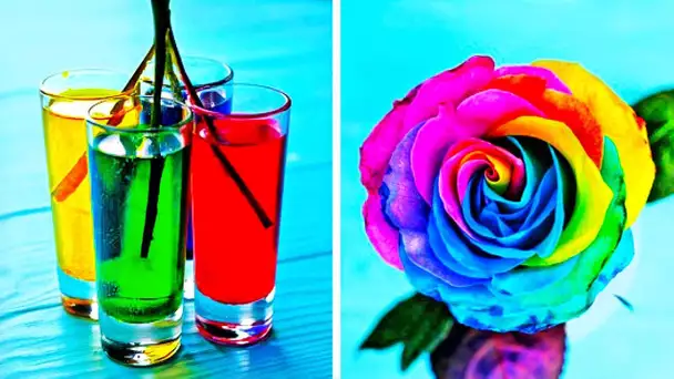 25 ASTUCES ET IDÉES DIY POUR LES FLEURS