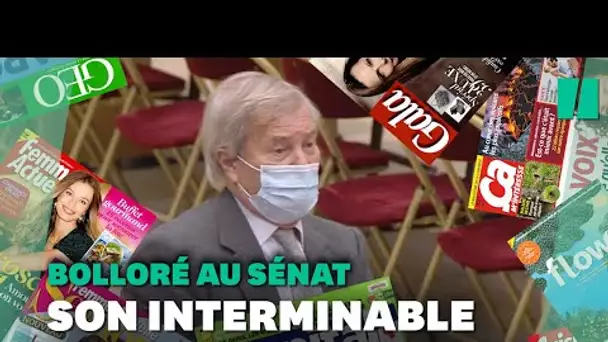 Bolloré au Sénat: cet élu a mis 5 minutes pour lister ses activités