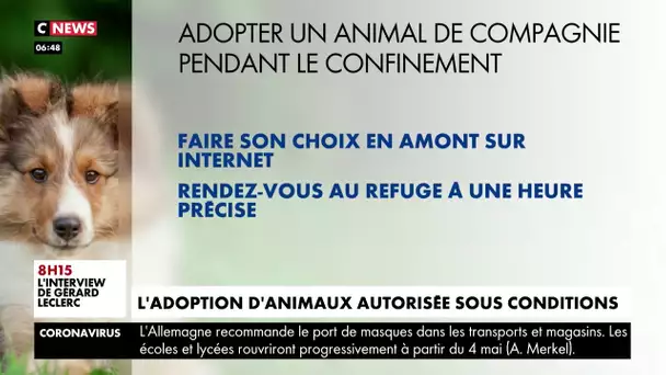 L’adoption d’animaux autorisée sous conditions