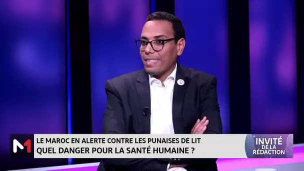 Le Maroc en alerte contre les punaises de lit : Le point avec Khalid Bourouisse