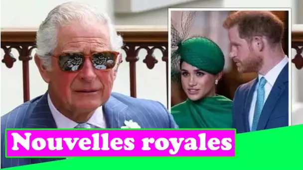 Harry et Meghan « amplement conscients » Archie et Lili n'obtiendront probablement pas de titres lor