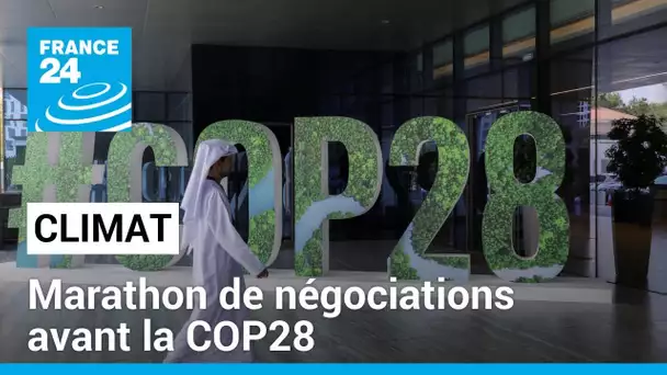 COP28: Dernière ligne droite pour des négociations très difficiles • FRANCE 24