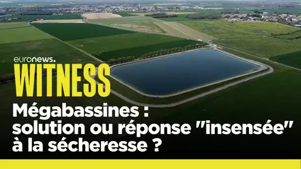 Mégabassines : solution ou réponse "insensée" à la sécheresse ?