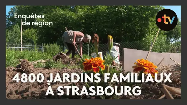 4800 jardins familiaux à Strasbourg