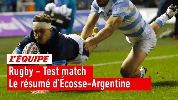 Le résumé d'Écosse - Argentine - Rugby - Tests