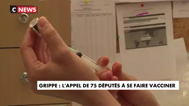 Grippe : 75 députés appellent à se faire vacciner contre la grippe