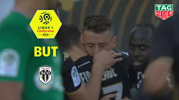 But Pierrick CAPELLE (48') / Angers SCO - AS Saint-Etienne (4-1)  (SCO-ASSE)/ 2019-20