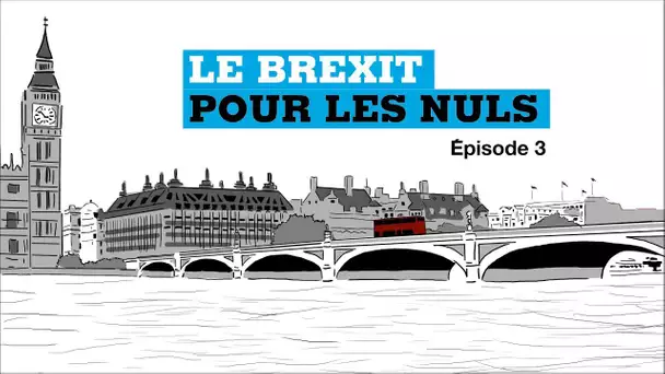 Le Brexit pour les Nuls, épisode 3 : C&#039;est quoi le backstop ?