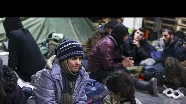 Crise des migrants : un rapport de Human Rights Watch met dos à dos Pologne et Bélarus