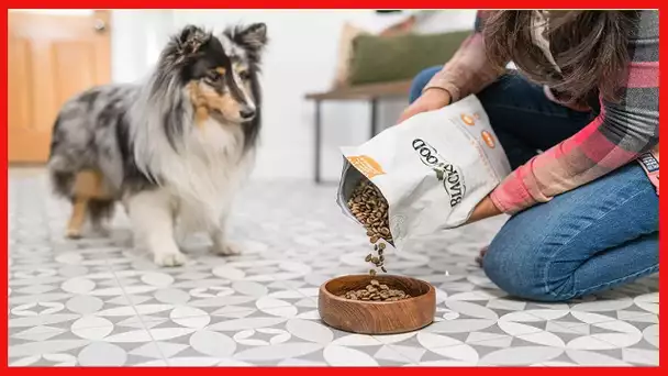 Blackwood Pet Food 22301 All Life Stages, Special Diet, Sensitive Skin, Salmon Meal & Brown Rice