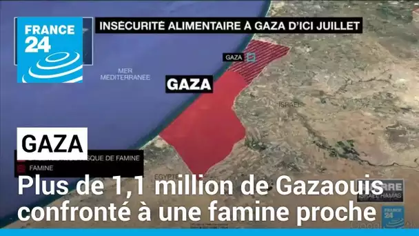 Famine imminente à Gaza selon l'ONU • FRANCE 24