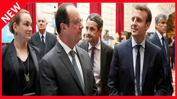 ✅  Emmanuel Macron : cette comparaison peu flatteuse avec François Hollande