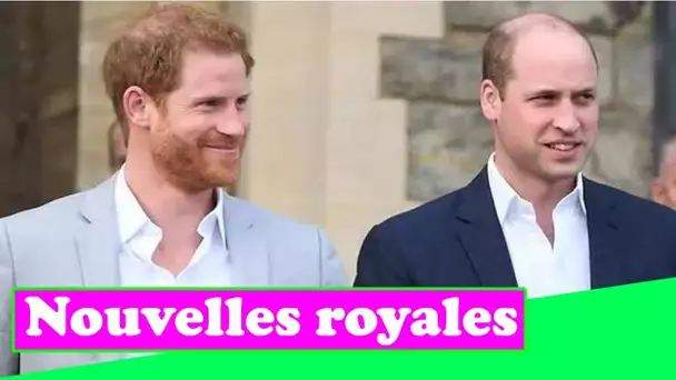 Réunion du prince William et de Harry ON: Duke ne sautera pas le dévoilement de la statue maintenant