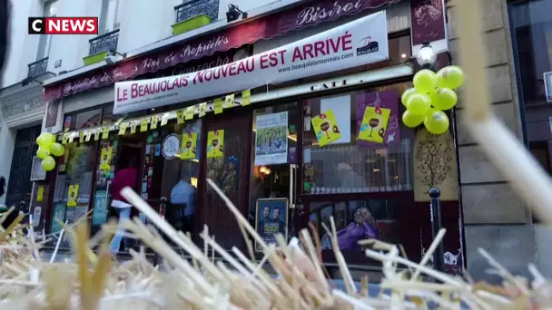 Le Beaujolais nouveau 2019 est arrivé