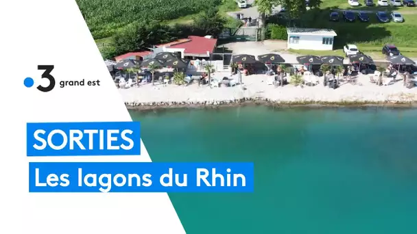 Sorties : baignade dans les lagons du Rhin