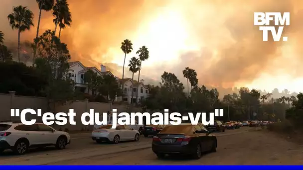 Incendies à Los Angeles: 5 morts, 1.500 bâtiments brûlés et 100.000 habitants évacués