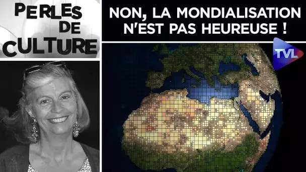 Non, la mondialisation n'est pas heureuse ! - Perles de Culture n°291 - TVL