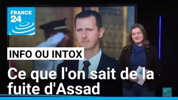 Chute d'Assad : ce que l'on sait de la fuite de l'ancien président syrien • FRANCE 24