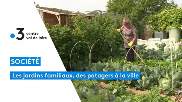 Les jardins familiaux de La Chapelle-Saint-Mesmin : des potagers à la ville !