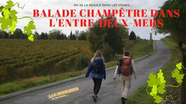 Randonnée champêtre dans l'Entre-deux-mers