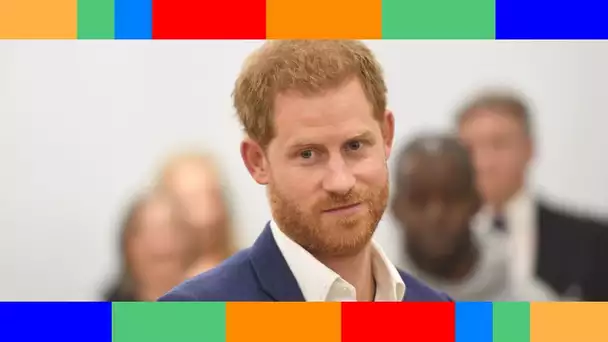 Une première ! Pourquoi le prince Harry attaque le gouvernement britannique en justice