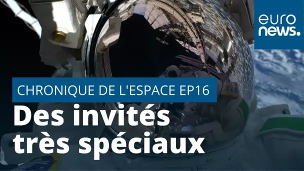 De nouveaux invités très spéciaux à bord de la Station spatiale internationale