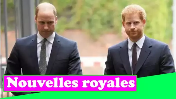 Le prince Harry et le prince William ont fait une promesse déchirante à Diana, selon l'auteur