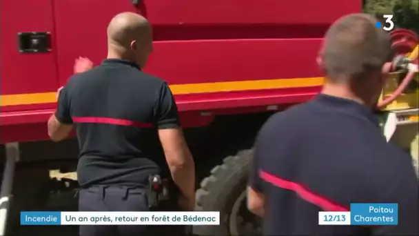 11 mois après l'incendie de Bédenac en Charente-Maritime, la nature reprend ses droits