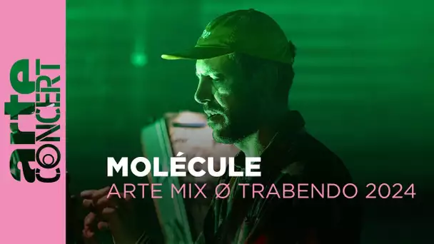 Molécule - ARTE Mix ø Trabendo 2024 - ARTE Concert