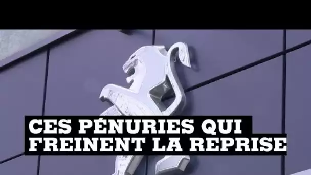 Ces pénuries qui freinent la reprise