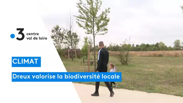 Dreux : changement d'entretien des espaces verts, la ville veut préserver la biodiversité locale