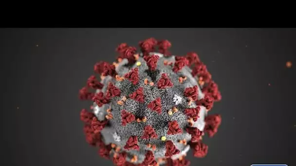 Coronavirus : la course au vaccin, enjeu scientifique, financier et politique