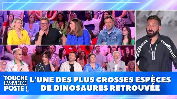 Un homme retrouve l'une des plus grosses espèces de dinosaures dans son jardin !