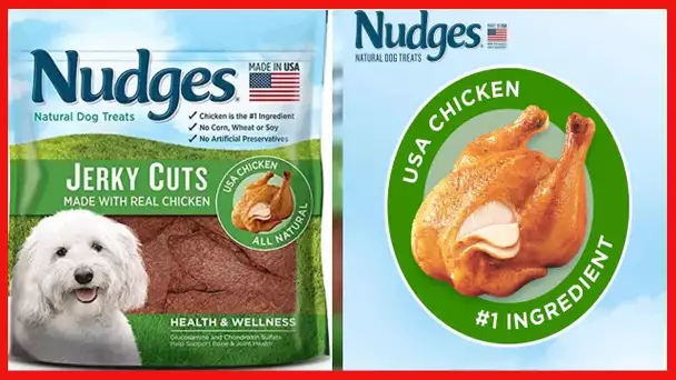 Nudges Health and Wellness Chicken Jerky Dog Treats, 16 oz