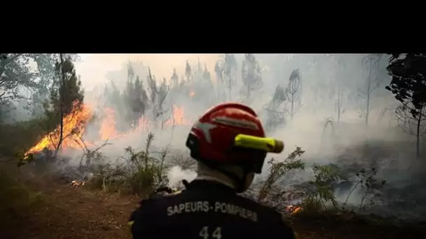 Incendies en France : comment devient-on pyromane ?