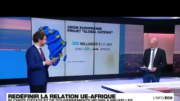 L'Union européenne veut définir un nouveau partenariat avec l'Afrique • FRANCE 24