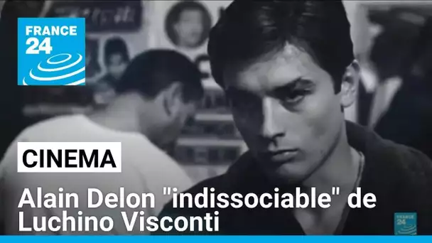 Alain Delon, une icône du cinéma français mais aussi italien • FRANCE 24