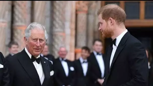 Prince Harry obsédé par l'argent de son père : "il me considère comme une pompe à...