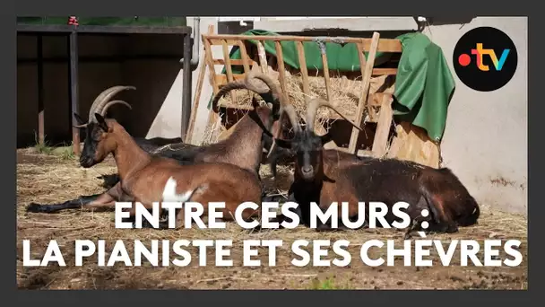 Entre ces murs s'épanouissent poules et chèvres