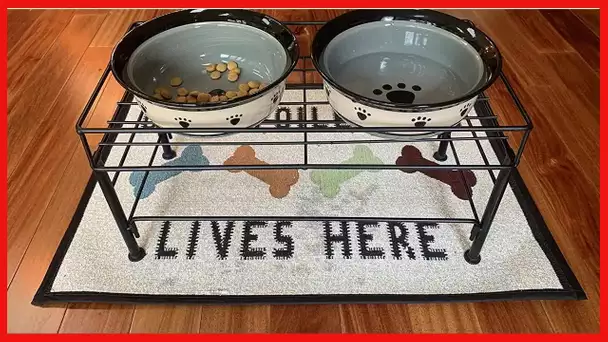 PetRageous 10215 One Spoiled Dog Tapestry Dog Non-Skid Machine Washable Placemat for Pet Feeding