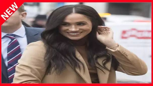 ✅  Meghan Markle et Harry : leur biographie autorisée paraîtra bien en France