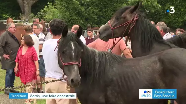 Foire de Garris