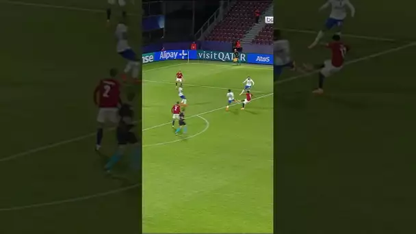 🤯 La fin de match démentielle entre la France et la Norvège, avec un presque but du gardien! #shorts