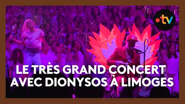 "Quand on chantait ensemble, on était connectés"  2000 jeunes en concert avec le groupe Dionysos
