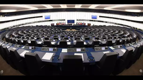 Voici ce à quoi va ressembler le nouveau Parlement européen