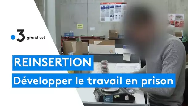 Réinsertion : comment développer le travail en prison