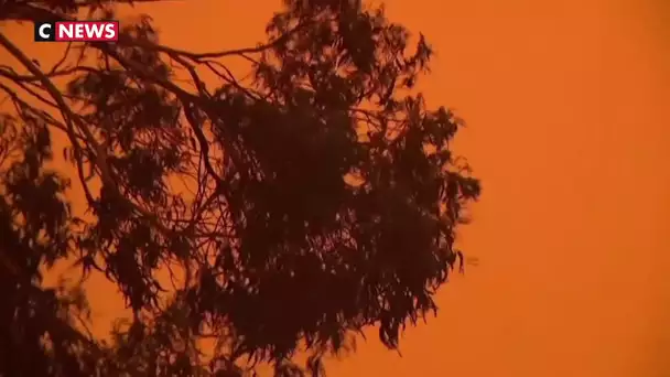 Des fumées des incendies australiens ont atteint le Chili et l'Argentine